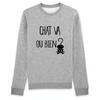 pull chat va ou bien ? coloris gris