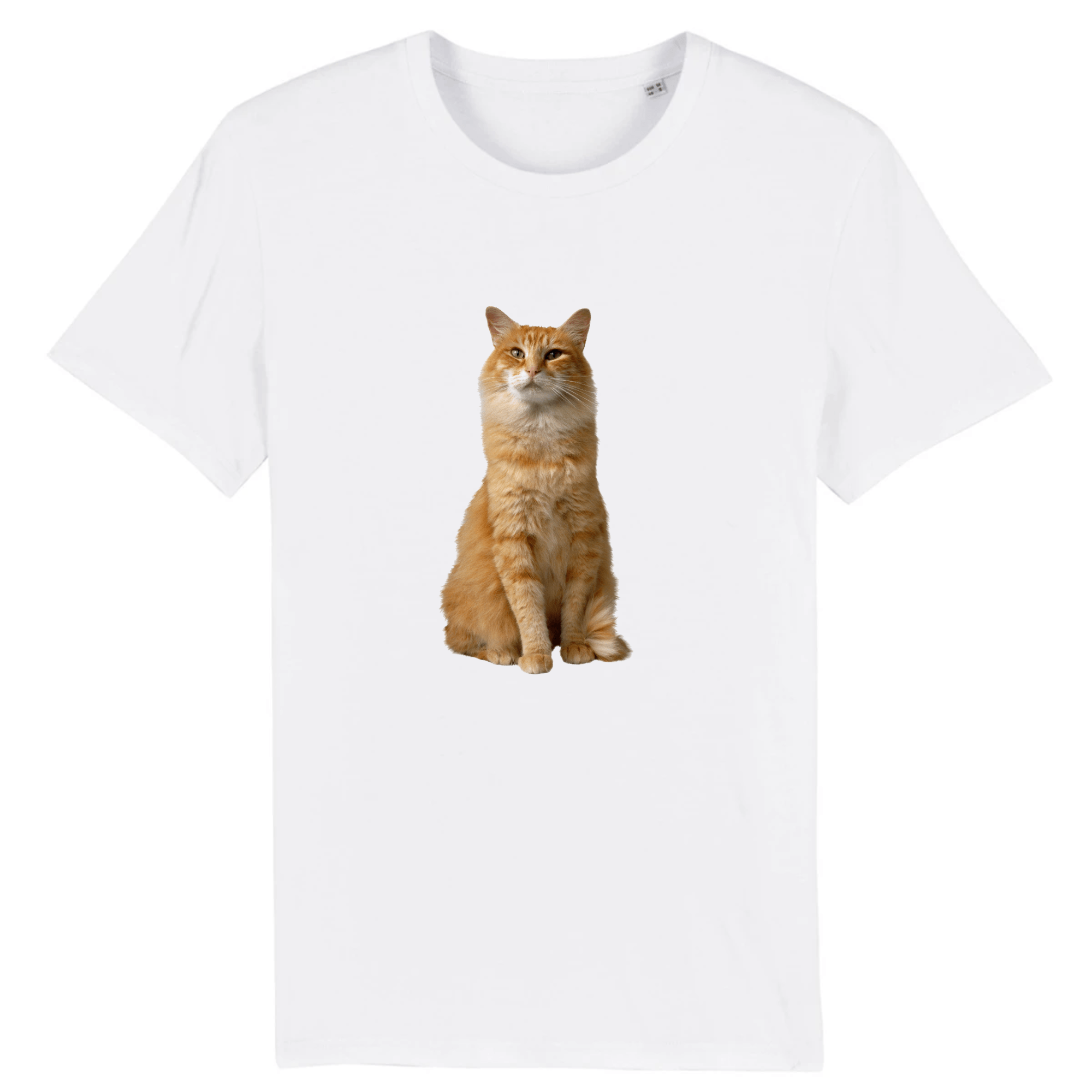 tee-shirt chat roux