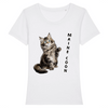 t-shirt maine coon