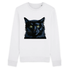 pull chat noir