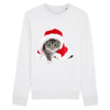 pull noël chat femme