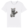 tee-shirt chat chaton