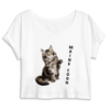 crop-top chat maine coon