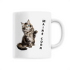 mug chat maine coon