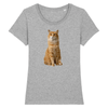 t-shirt chat roux couleur gris
