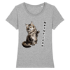t-shirt maine coon couleur gris