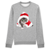 pull noël chat femme couleur gris