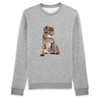 Pull chaton mignon couleur gris