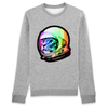 pull chat espace couleur gris