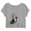 crop-top chat maine coon couleur gris