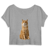 crop-top chat roux couleur gris