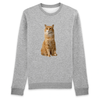 pull chat roux couleur gris