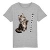 t-shirt chat maine coon enfant couleur gris