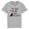 tee-shirt chat qualités couleur gris