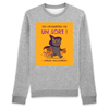 Pull Chat Joyeux Halloween coloris gris