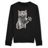pull chaton couleur noir