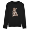 Pull chaton mignon couleur noir