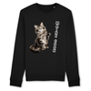 pull chat maine coon couleur noir