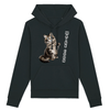 sweat chat maine coon couleur noir