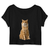 crop-top chat roux couleur noir