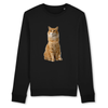 pull chat roux couleur noir