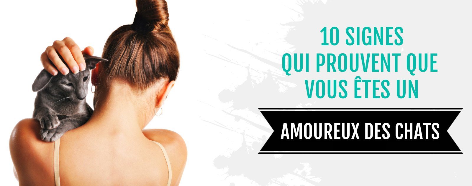 blog les amoureux des chats