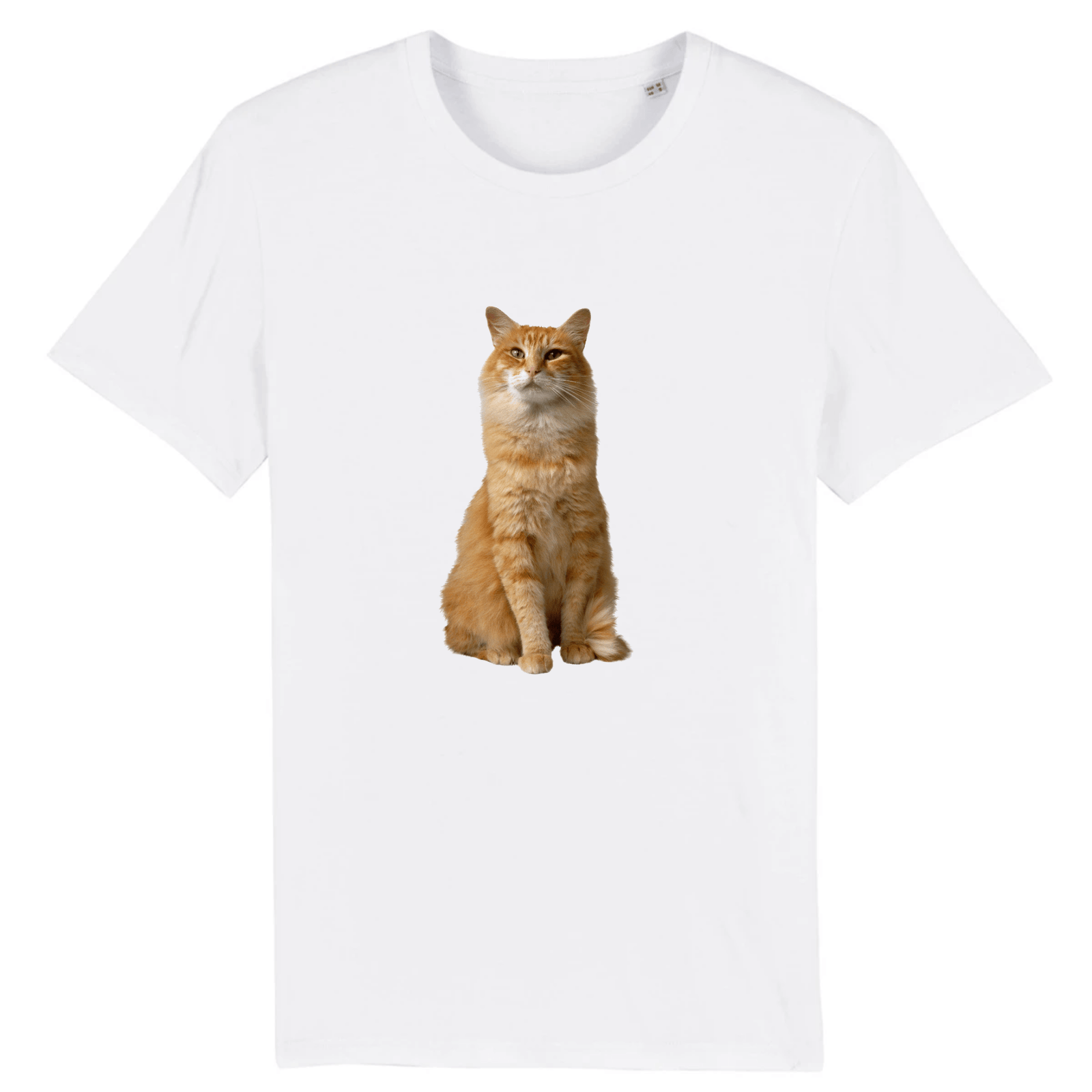 Tee-Shirt Chat Roux