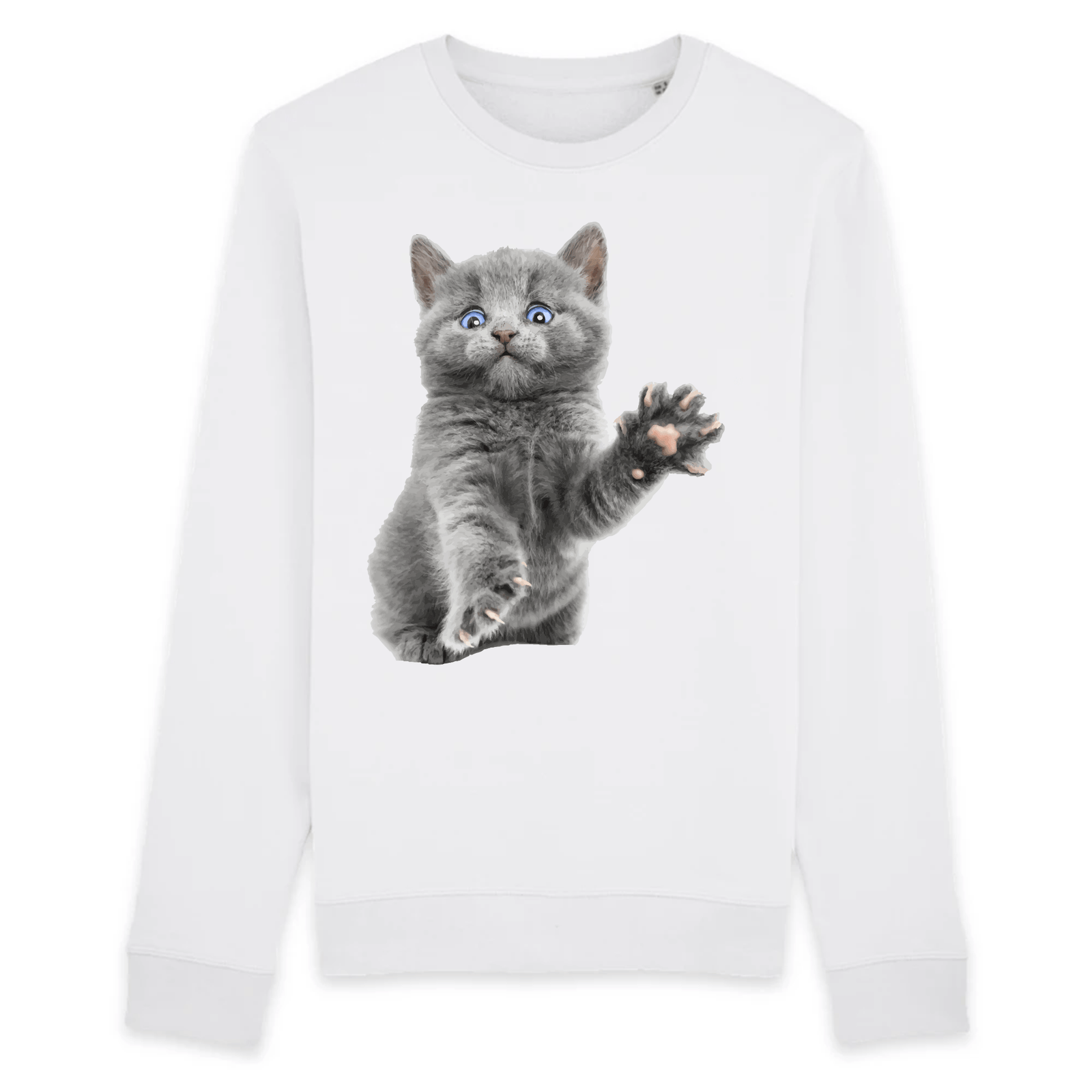 pull chaton