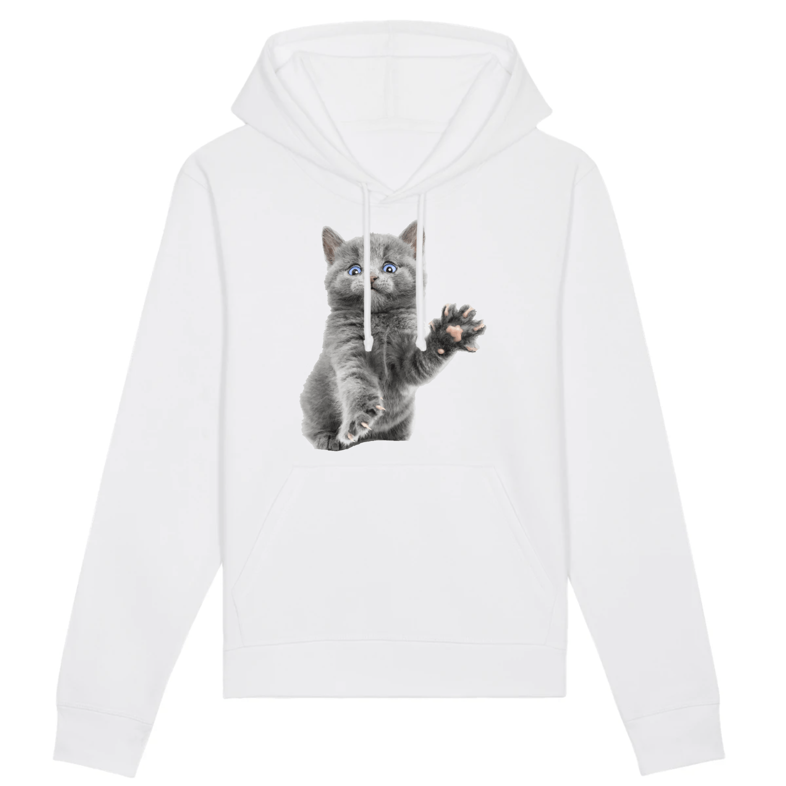 sweat chat chaton