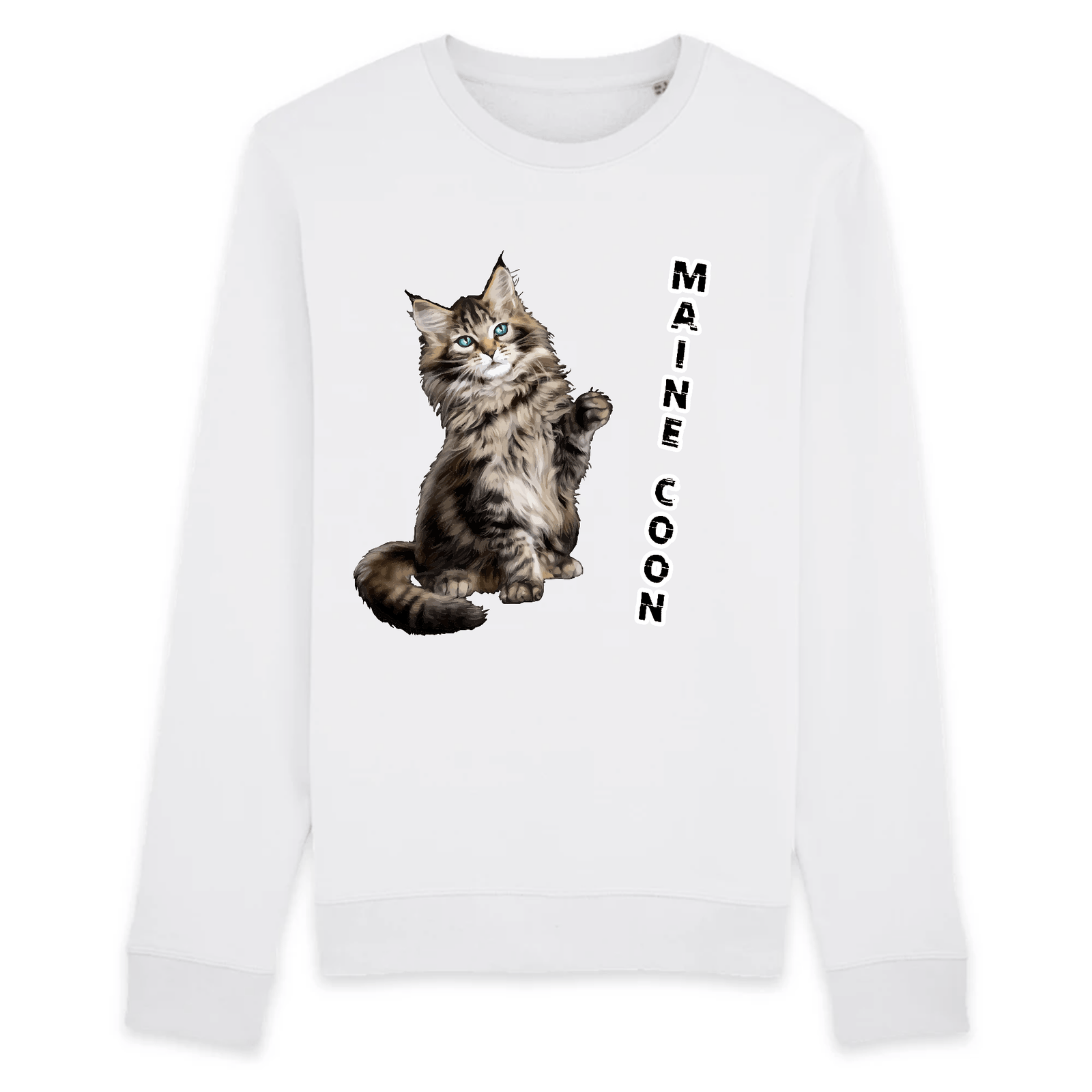 pull chat maine coon