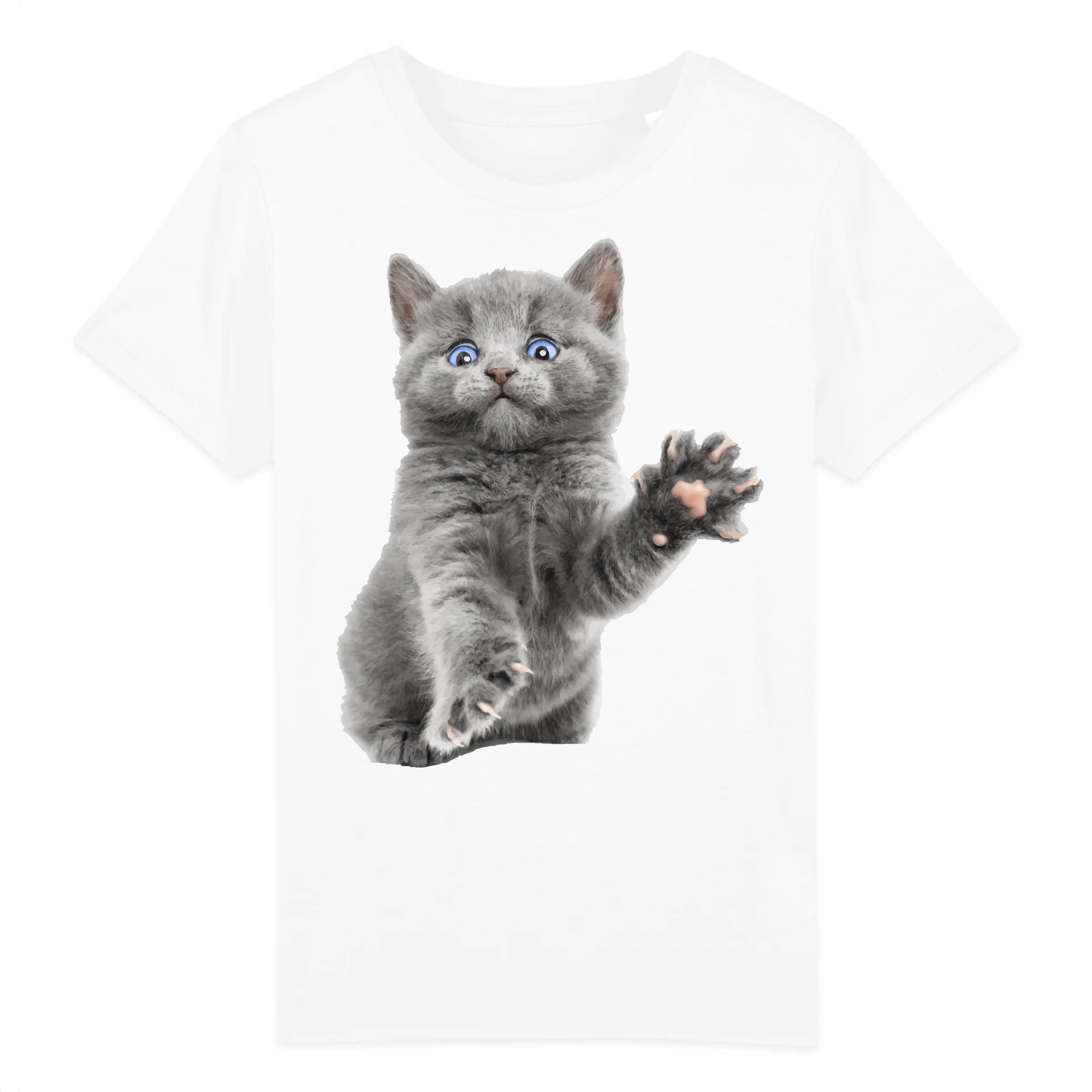 t-shirt chat chaton enfant