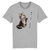 tee-shirt chat maine coon couleur gris