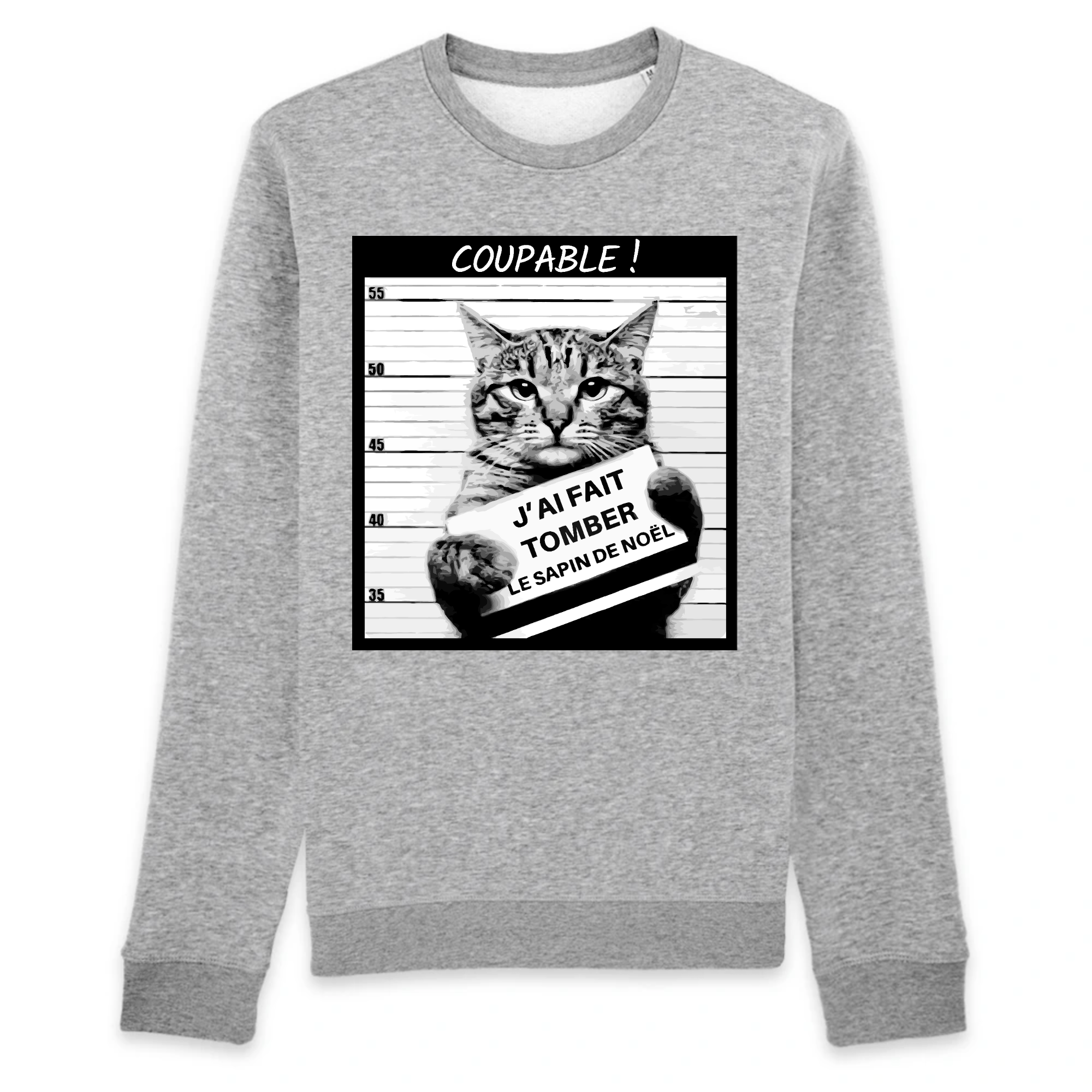 pull humour chat couleur gris