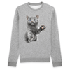 pull chaton couleur gris