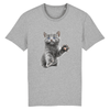 tee-shirt chat chaton couleur gris