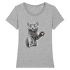 t-shirt chat chaton couleur gris