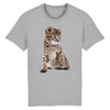 tee-shirt chaton mignon couleur gris