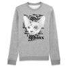 pull chat sphynx couleur gris