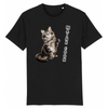 tee-shirt chat maine coon couleur noir