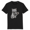 tee-shirt chat chaton couleur noir